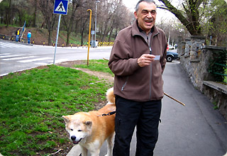 餃子と秋田犬