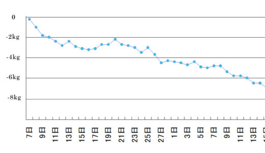 1.5ヶ月で-6kgダイエットは可能か？ 　→ 可能だが、金が掛かる