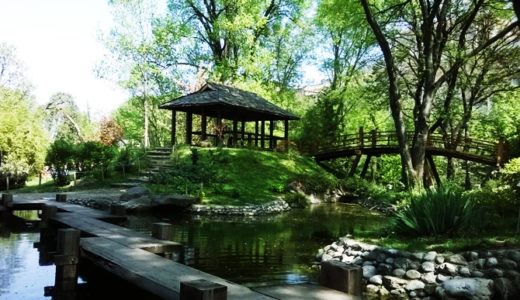ベオグラード植物園 の『日本庭園』でお花見を