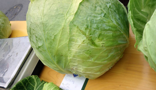 ブランド登録されているセルビアの『キャベツ』とは？！ 紙のように薄いキャベツは●●●に最適！in キャベツ村