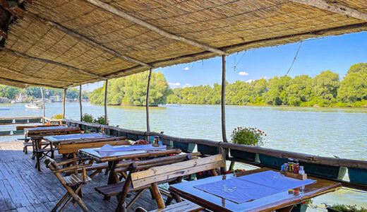 ドナウ川の水上レストラン～川魚料理がおすすめです